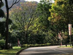 Hume Park II (D21), Condominium #504514221